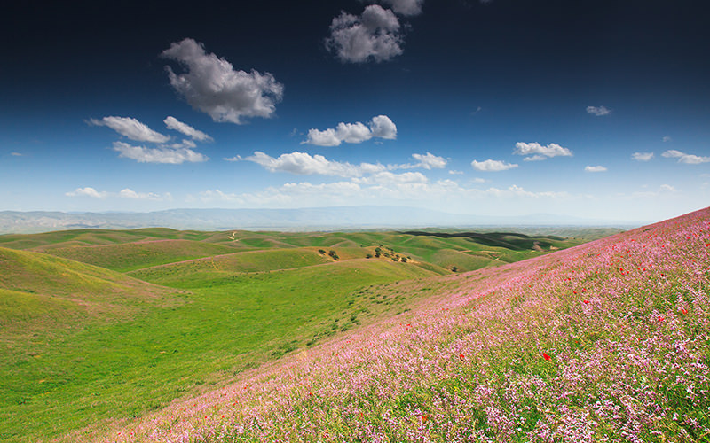 Сарбанд